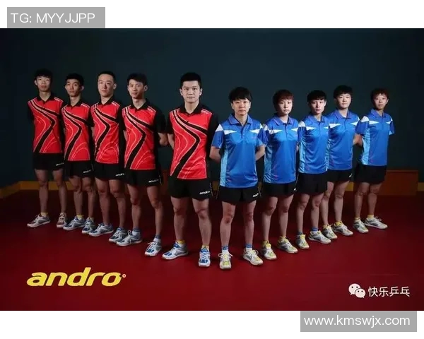 武汉乒乓球队与重庆乒乓球队技术对决赛后分析与复盘 武汉乒乓球队与重庆乒乓球队技术对决赛后分析与复盘