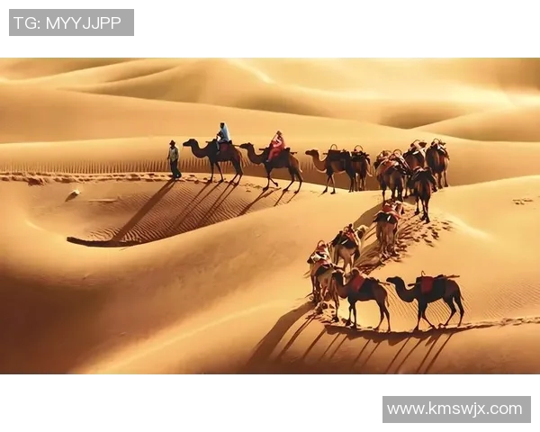 探索阿拉巴的独特魅力与文化遗产，揭示这片土地的历史与未来发展潜力