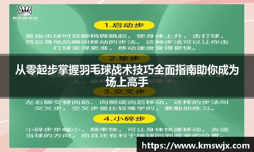 从零起步掌握羽毛球战术技巧全面指南助你成为场上高手