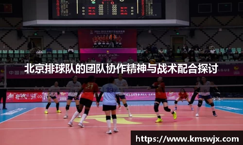 北京排球队的团队协作精神与战术配合探讨